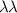 $\lambda\lambda$