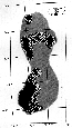 figure242