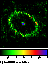 figure313