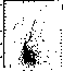 figure262