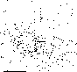 figure241
