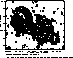 figure800