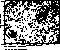 figure815