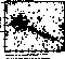 figure877