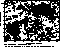figure1030