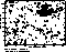 figure1053