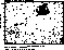 figure1084