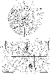 figure363