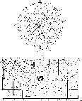 figure389