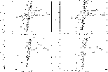 figure388