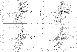 figure397