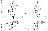 figure406