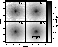 figure266