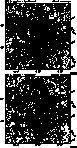 figure255