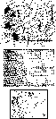 figure3798