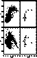 figure240
