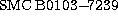 tex2html_wrap_inline4220