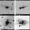 figure261
