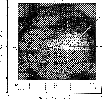 figure197