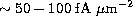 tex2html_wrap_inline1114