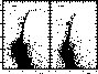 figure445