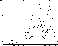 figure244