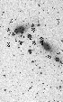 figure243