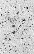 figure258