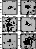 figure592
