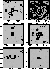 figure595