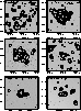 figure601