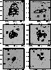 figure613