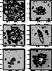 figure616