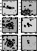 figure709
