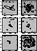 figure562