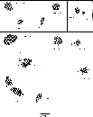 figure338