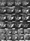 figure706