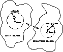 \begin{figure}
\resizebox {8cm}{!}{\includegraphics{sc_figk.eps}}\end{figure}