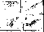 \begin{figure*}
\includegraphics[width=7.6cm]{1473f1e.eps}
\includegraphics[width=7.6cm]{1473f1g.eps}\end{figure*}