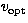 $v_{\rm opt}$