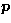 $\vec p$