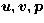 $\vec u , \vec v , \vec p$