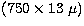 $(750 \times 13 \;\mu )$