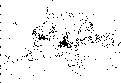 \begin{figure}
{\centering

\includegraphics [height=5.8cm]{heckmp01.ps}
}
\end{figure}