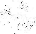 \begin{figure}
{\centering

\includegraphics [height=8.2cm]{heckmp04.ps}
}
\end{figure}