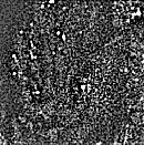 \begin{figure}
\centering
\includegraphics[width=8.5cm]{figure3.ps}\end{figure}