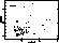 \begin{figure*}
\centering
\includegraphics [angle=-90,width=14.4cm]{fig12.ps}\end{figure*}