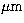 $\rm \mu m$