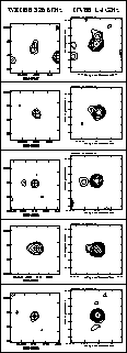 \begin{figure}
\begin{center}
\begin{tabular}
{\vert c\vert}\hline \\ {\large WE...
 ...s.ps,width=3.5cm}
 
 \\  \hline\end{tabular}\end{center}\vspace{7mm}\end{figure}