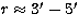 $r \approx 3' - 5'$